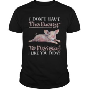 Pig I dont have the energy to pretend i like you today shirt