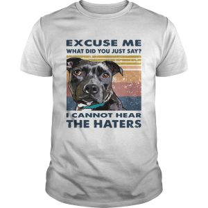 Pitbull Excuse Me What Did You Just Say I Cannot Hear The Haters Vintage shirt