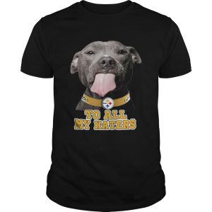 Pitbull to all my haters Pittsburgh Steelers shirt