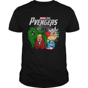 Pomeranian Pvengers Marvel avengers endgame shirt