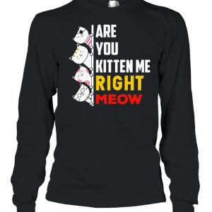 Are You Kitten Me Right Meow shirt