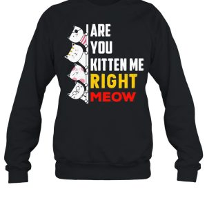 Are You Kitten Me Right Meow shirt