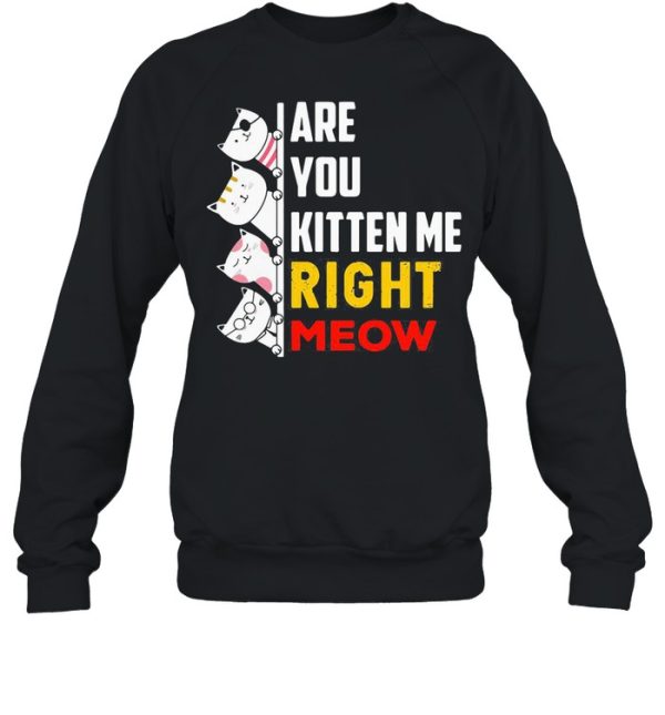 Are You Kitten Me Right Meow shirt