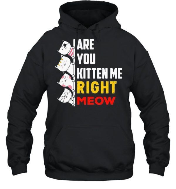 Are You Kitten Me Right Meow shirt