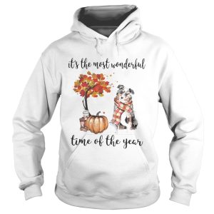 Australian Shepherd its the most wonderful time of the year shirt