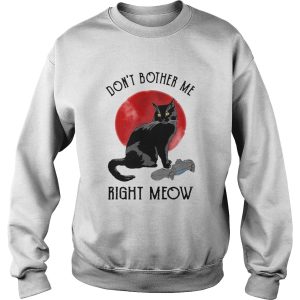 Awesome Cat Dont Bother Me Right Meow shirt