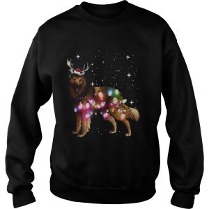 Belgian Tervuren Christmas Lights shirt 3