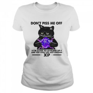 Cat Don't Piss Me Off I'm Close To Leveling Up Shirt 2