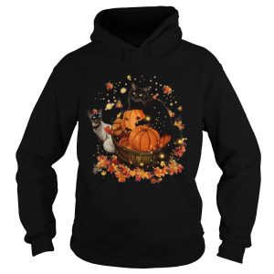 Cats Halloween Autumn shirt