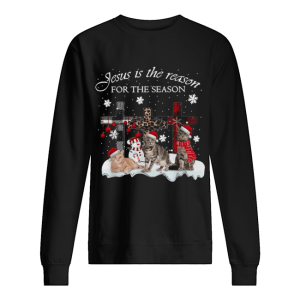 Cats Jesus is the reason for the season Christmas shirt 2