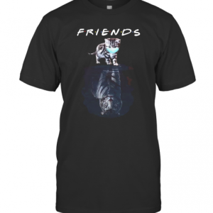 Cats Water Reflection Tigers Friends Quarantined shirt T-Shirt