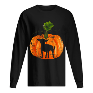 Chihuahua Inside Pumpkin Halloween shirt