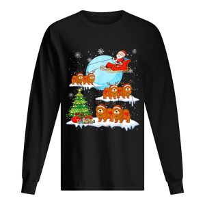 Chow Chow Reindeer Christmas Santa Claus shirt 1