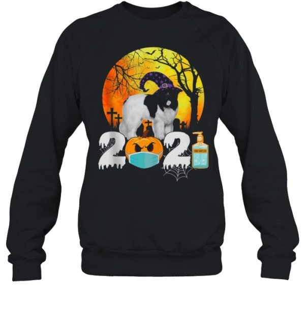 Costume 2021 Halloween Newfoundland Witch Hat shirt