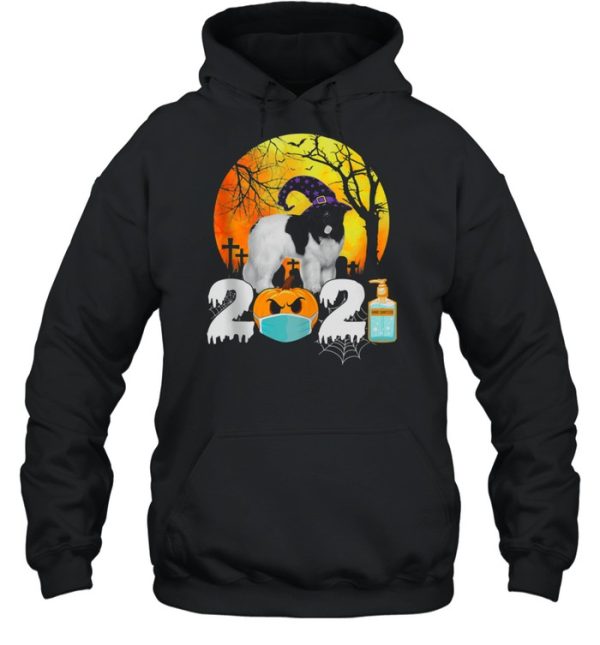 Costume 2021 Halloween Newfoundland Witch Hat shirt