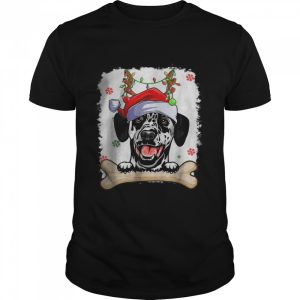 Cute Dalmatian Christmas Decorations Santa Hat Tree Light T-Shirt