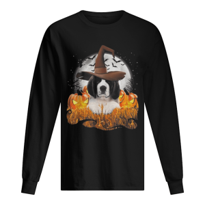 Cute Saint Bernard dog witch on Halloween pumpkin shirt