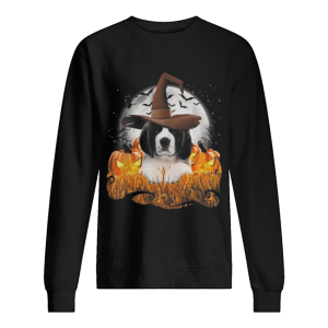 Cute Saint Bernard dog witch on Halloween pumpkin shirt