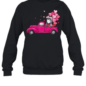 Cute Truck Cat Valentines Day Costume Boy Girl shirt