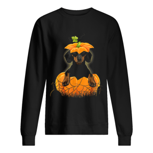 Dachshund Pumpkin Halloween For Men Woman shirt 2