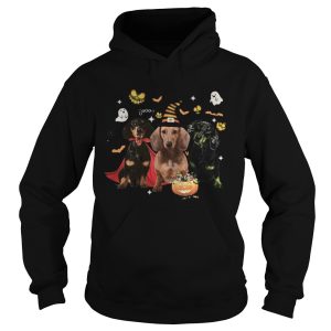 Dachshund Witch Halloween shirt 1