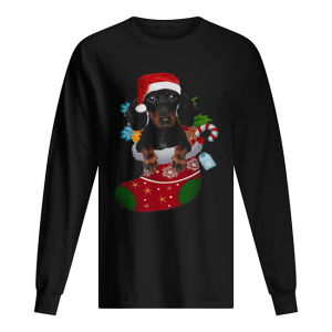 Dachshund in sock Christmas shirt 1