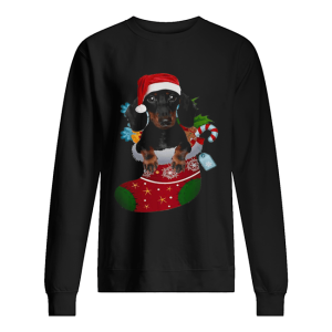 Dachshund in sock Christmas shirt 2