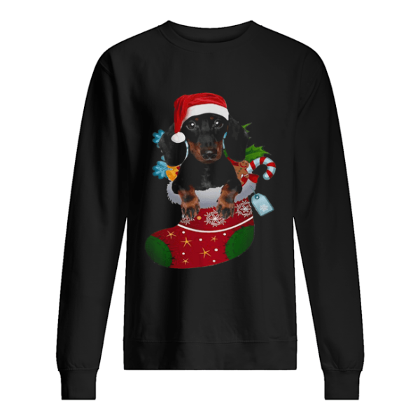 Dachshund in sock Christmas shirt