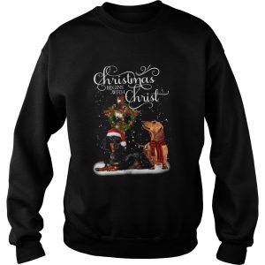 Dashshund Christmas begins with Christ shirt 3