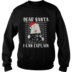 Dear Santa I Can Explain Light Christmas shirt 3