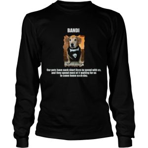 Dogs are mans best friend shirt 2