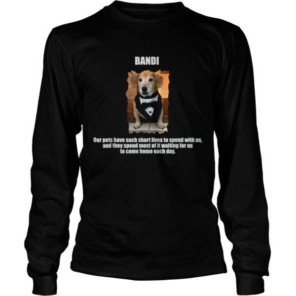 Dogs are mans best friend shirt