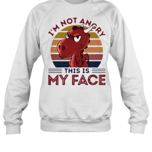 Dragon I'm Not Angry This Is My Face Vintage Retro T shirt 4