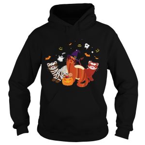 Ferret Pumpkin Halloween shirt