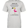 Flamingo Im not old I came to a conclusion shirt
