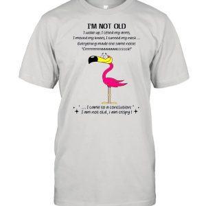 Flamingo Im not old I came to a conclusion shirt