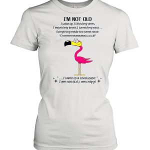 Flamingo Im not old I came to a conclusion shirt