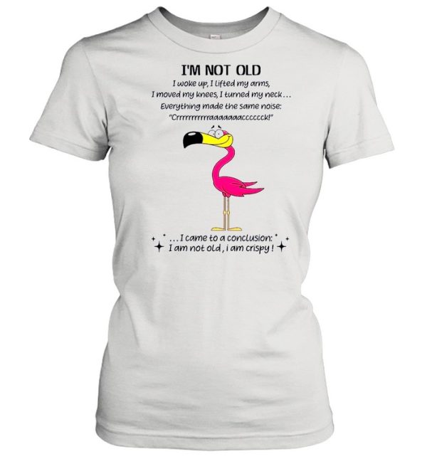 Flamingo Im not old I came to a conclusion shirt