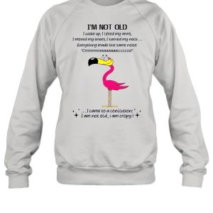 Flamingo Im not old I came to a conclusion shirt 3