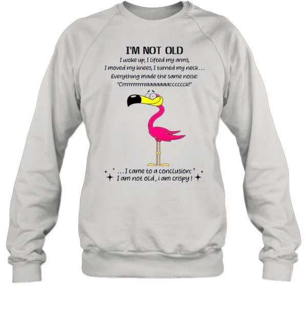 Flamingo Im not old I came to a conclusion shirt