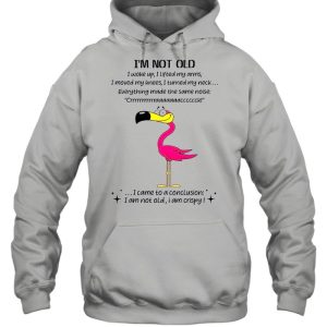 Flamingo Im not old I came to a conclusion shirt 4