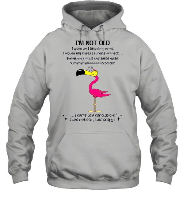 Flamingo Im not old I came to a conclusion shirt