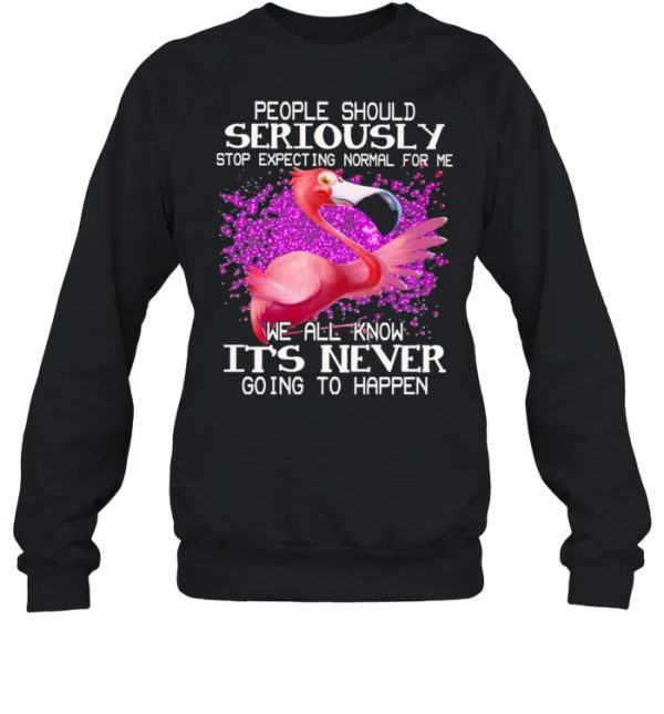 Flamingo people should seriously We all know It’s never going to happen shirt