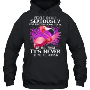 Flamingo people should seriously We all know It's never going to happen shirt 3