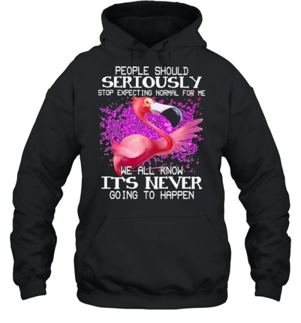 Flamingo people should seriously We all know It’s never going to happen shirt