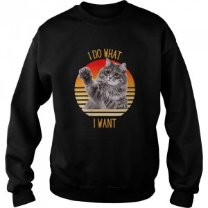 I Do What I Want Cat Shirt 4