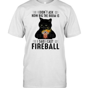 I didnt ask how big the room is i said i cast fireball cat shirt