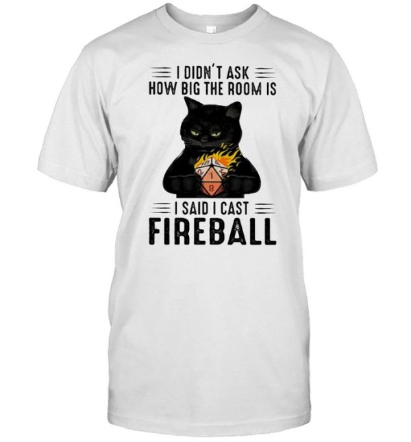 I didnt ask how big the room is i said i cast fireball cat shirt