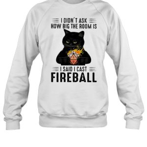 I didnt ask how big the room is i said i cast fireball cat shirt 4