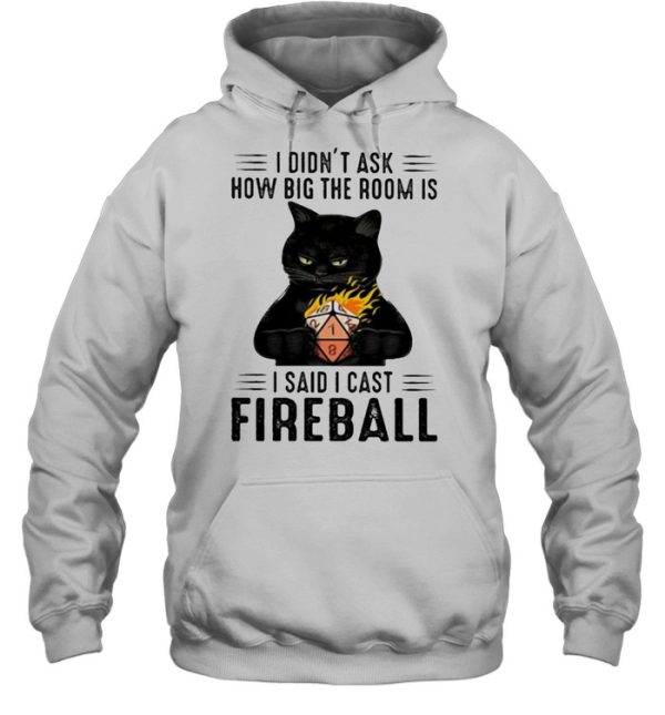 I didnt ask how big the room is i said i cast fireball cat shirt